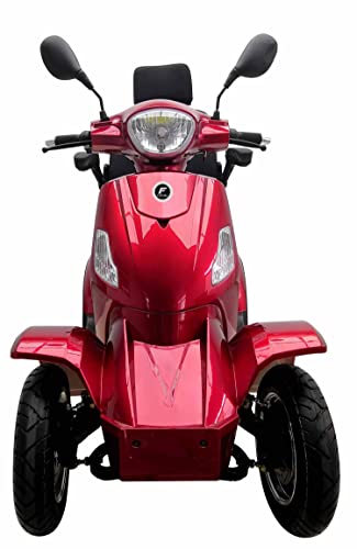 VITA CARE 4000 Li Elektromobil 1000 Watt – Bild 5