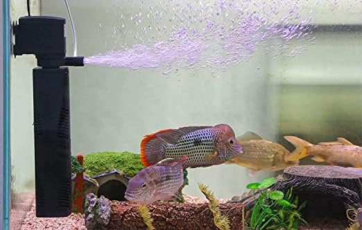 Sobo filter installed in an aquarium with fish