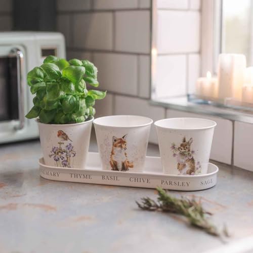 Wrendale Designs By Hannah Dale - Woodland Set of 3 Herb Pots and Tray