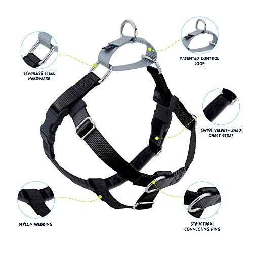2 Hounds Design Freedom No Pull Dog Harness With Leash, Adjustable Gentle Comfortable Control For Easy Dog Walking, For Small Medium And Large Dogs, Made In Usa #TOP1