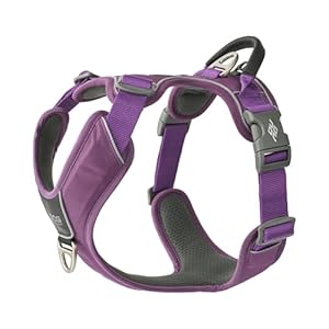 DOG Copenhagen Comfort Walk Pro Violett Hundegeschirr