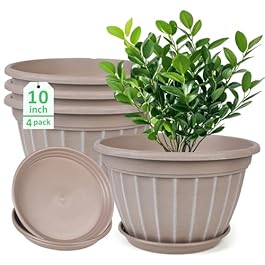 10 Inch Plants Pot,4...