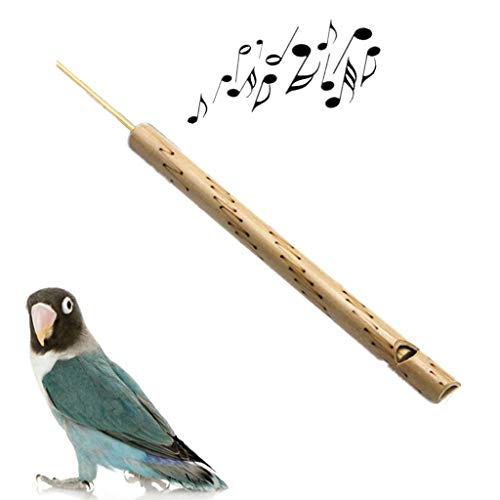 Flauto di Pan in babù, struento usicale, in legno artigianale