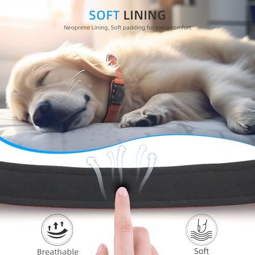 Image of Upgrade Dog Collar with AirTag Holder, IP68 Waterproof, Orange, M