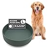 Should We Go? Dog Water Bowl - The Perfect Dish No-Spill, Less Mess Non-Tippable Water & Food Bowl, Pure Silicone with Suction Cup Fits 8 Cups 9.5" Across x 2.5" Tall, Ideal for All Pets, Large-Spruce