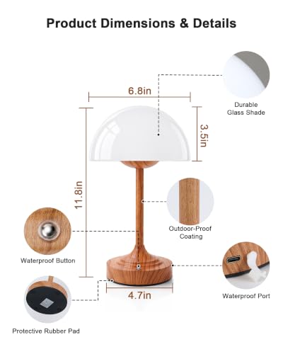 Cordless Table Lamp DROPS TO - image 9
