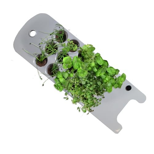 AeroGarden Seed Starting System Sprout - Start Up to 15 Seedlings - Image 3