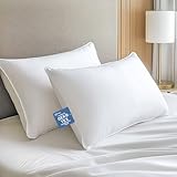 Hypoallergenic Viscose from Bamboo Soft Pillows with Down Alternative Filling, Queen Size set of 2,Breathable, Moisture-Wicking, Luxury Hotel Quality, Ideal for All Sleeper, Oeko-Tex Certified