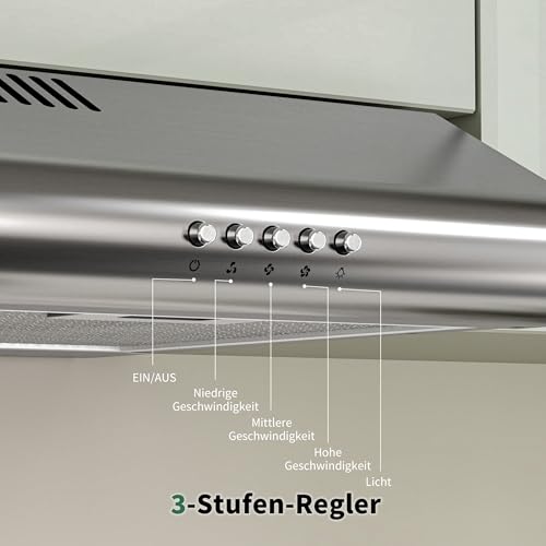 FIREGAS Dunstabzugshaube 60 cm, Umluft- und Abluftbetrieb, 250 m³/h, 3 Leistungsstufen, inkl. Kohlefilter, energieeffizient A+, leise, LED-Beleuchtung, Edelstahl