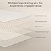 PAPERSENSE Matte Screen Protector for iPad Air 11 Inch M3 2025 & M2 2024 (7th/6th Generation), Paper-layer Tempered Glass with Dust-free Installation Tray, Anti-glare, Apple Pencil Support, 2 Pack