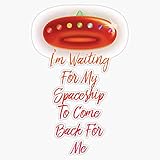 Kesha - Â€Œiâ€™M Waiting For My Spaceshipâ€ Lyric Sticker Bumper Sticker Vinyl Decal 5"