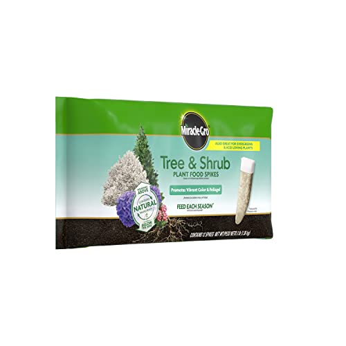 Image of Miracle-Gro Tree & Shrub Plant Food Spikes, 12 Spikes (2-Pack) | For Deciduous, Flowering and Evergreen Trees, Hydrangeas, and Acid-Loving Plants