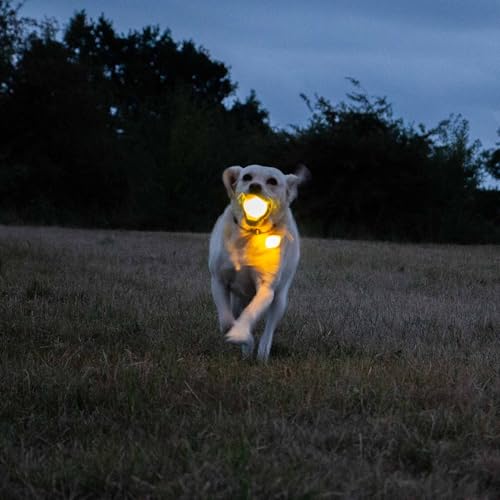 Ancol Wiederaufladbarer LED-Ball, Gelb USB Weiches Silikon Leuchtendes Hundespielzeug, Wasserfest, Outdoor, Garten, Nachtspiel-4