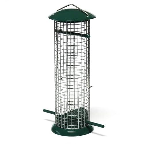 Thempa - Dispensador de frutos secos para aves silvestres (500 ml) Cover