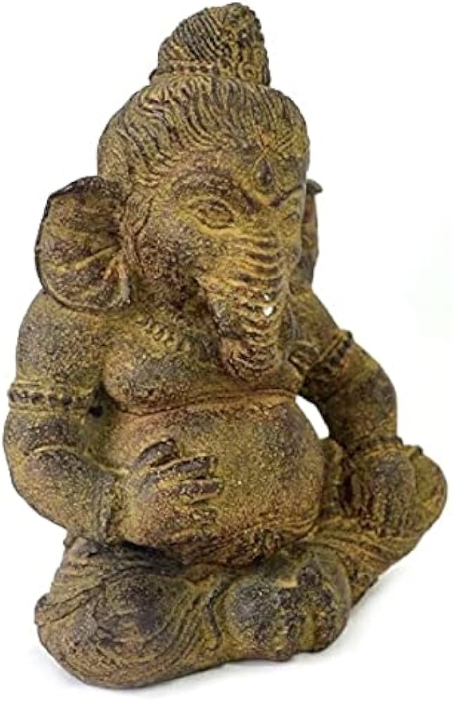 41bC9N1zUpL._AC_UF894,