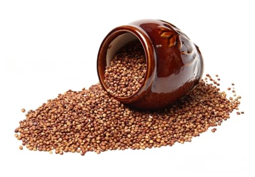 French Marigold 'Bonita' Mix Dwarf Double - 450 Seeds + Plant tag + Freebie (Tagetes patula Nana)