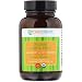PURE PLANET Organic Amla C Plus, 100 Count