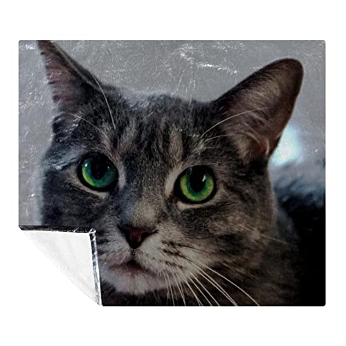Couverture en peluche chat aux yeux verts en microfibre douce TBOUOBT