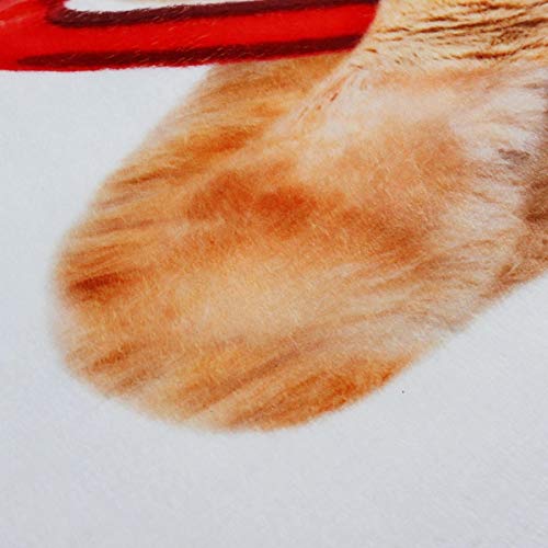 Badvorleger-Set, weich, WC-Vorleger, WC-Bezüge, Badematten, Teppiche, 3 Stück, lustige Katze, für jeden Anlass (Farbe… – Bild 4