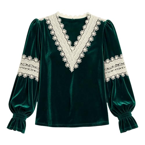 Ladies Tops Velvet Lantern Long Sleeve V Neck Lace Trim Elegant Blouse - image 5