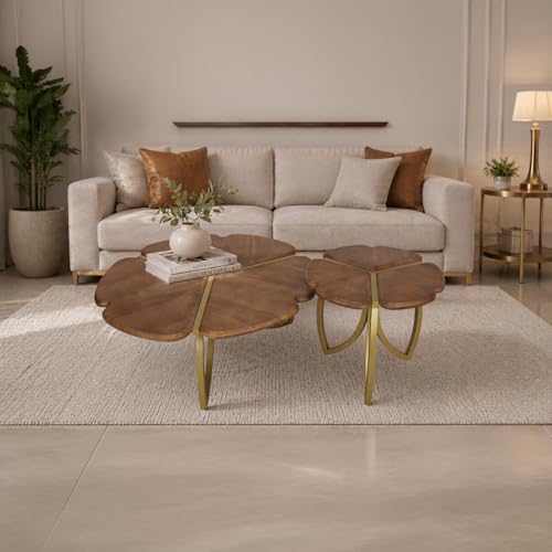 Image of The Attic Roselle Coffee Table, Coffee Table for Living Room, Teak & Gold Finish