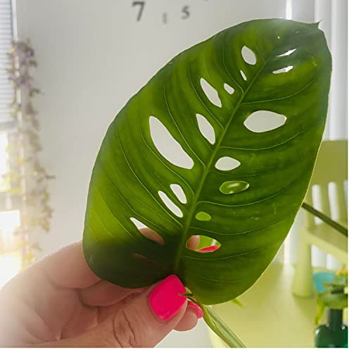 Being released from jail with a baby