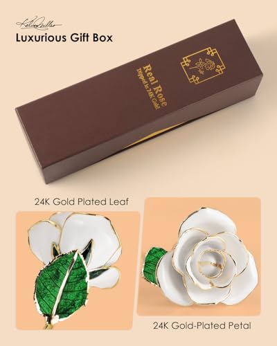 Image of 24K Gold Dipped Real Rose, Preserved Gift for Her, Ivory White
