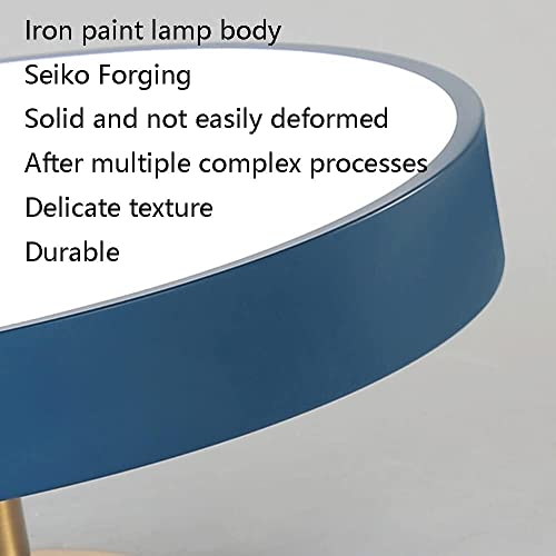 Plafonnier LED Dimmable Rond Résout le Manque de Lumière dans le Dressing