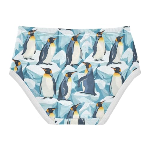 ZZKKO Penguins and Glaciers Girls Underwear Toddler Panties for Girls Comfort Brief Size 8Y2