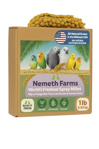 Nemeth Farms Premium Non-GMO Spray Millet Treat | Hand-Harvested Bird Snack | 100% Edible Tops | Sun-Dried Supplement for Parakeets, Cockatiels, Finches, Lovebirds, Canaries