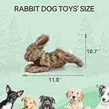 All For Paws Hundespielzeug Hase mit Quietschfunktion, 30 cm