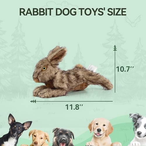 All For Paws Hundespielzeug Hase mit Quietschfunktion, 30 cm