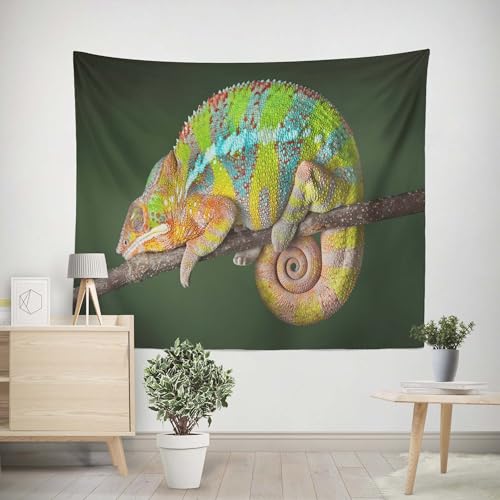EHOMERY Wandteppichxxl Tapisserie Unter 5 Chamäleon Wandteppichschlafzimmer Wanddecken Deko Wohnzimmer Schlafzimmer Wandbehang Dekoration 200x200cm