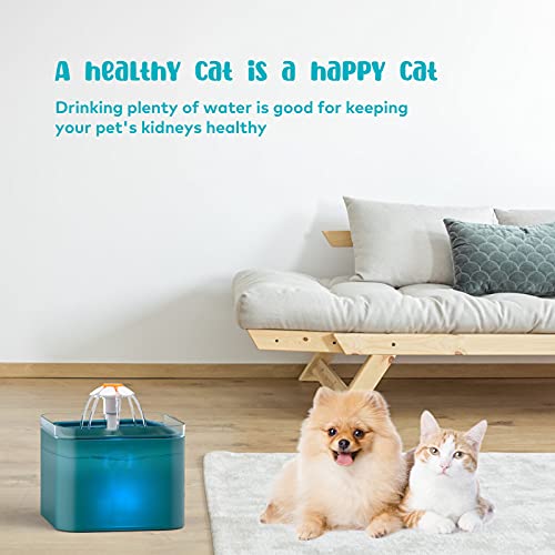 AONBOY Filtri Fontanella per Gatti, 4 Pezzi Filtro...