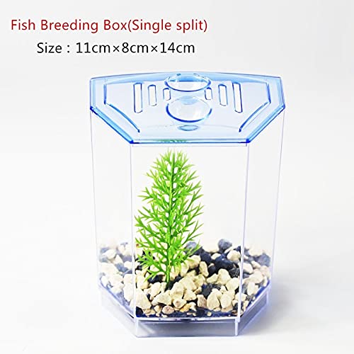 Esncddym Viskweektanks, Viskweekbox | Dubbellaagse acryl