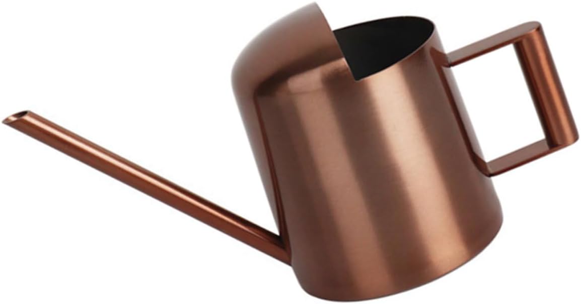 SUPVOX Watering Can Indoor Plants Memorial Ornaments Potted Flowers Watering Spout Water Can Decorative Plants Black Plant Flowers Plants Stainless Steel Child Bonsai Succulents, 18.5X8.5CM, Brown