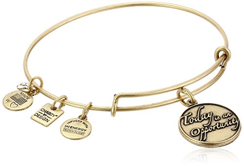 Alex and Ani Today Is An Opportunity Bangle Bracelet
