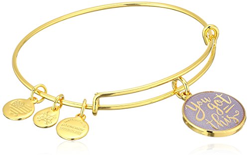 Alex and Ani Words are Powerful, You Got This Shiny Gold Bangle Bracelet