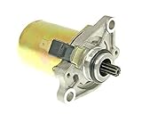 Ab 29.- Euro versenden wir versandkostenfrei innerhalb der BRD als DHL Paket