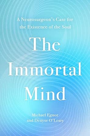 The Immortal Mind: A Neurosurgeon’s Case for the Existence of the Soul