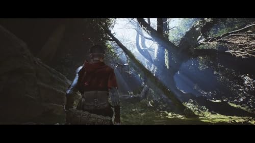 1348 Ex Voto Golden Edition PS5 - vue 8