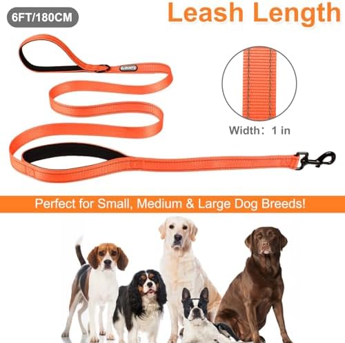 CLCKUMTU Heavy Duty Dog Leash with 2 Comfortable Padded Handles, 6FT Traffic Handle Extra Control, Highly Reflective Threads Leash for Small/Medium/Large Dogs (Orange) - 4