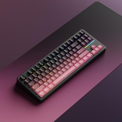 EWEADN X87 ���C�����X ���J�j�J�� �L�[�{�[�h ASMR�A80% �g���C���[�h BT5.0/2.4GHz/USB-C �z�b�g�X���b�v�\�J�X�^���L�[�{�[�h 5000mAh �o�b�e���[ �K�X�P�b�g�\�� RGB�o�b�N���b�g �T�C�h�v�����g �Q�[�~���O