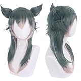 ビースターズ レゴシ コスプレウィッグ オオカミ 狼 ウィッグ ネット付き かつら wig コスチューム小物 かつら変装 コスプレ ハロウイン cosplay 仮装 耐熱 イベント ハロウィン 仮装 変装 クリスマス (ウィッグ, フリーサイズ)