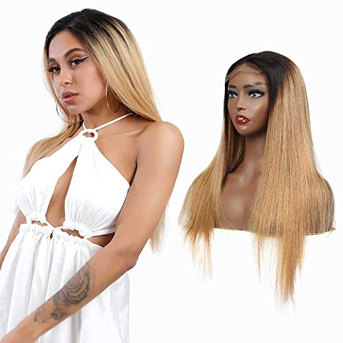 Arenshxc Closure Wig 4x4 Ombre Human Hair Wigs For Women #1b/27 Straight Brazilian Virgin Hair Wig Pre Plucked With Natural Hairline Swiss Lace Ombre Wig 20 inch Cover
