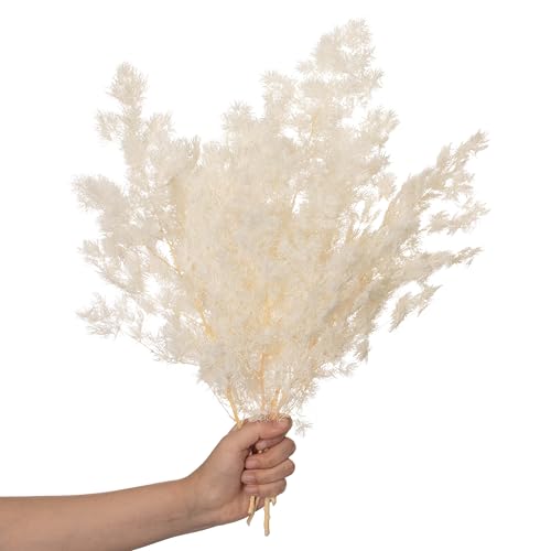 Uniquewise 17" Peng Lai Song Real Floral Stem Chic Vase Filler & Accent for Bouquet Centerpiece & Dried Ornamental Display Ideal for Home Office Boutique Café Restaurant Bar and Event Décor, White