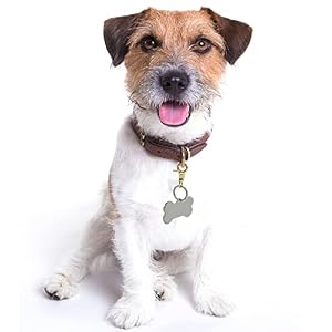 Dog Tag Clips 2 Pack Easy Change for Pet ID Tag Quick Clips Small Medium Large Dogs and Cats Collars|Gold| Dog Tag Clips 2 Pack Easy Change for Pet ID Tag Quick Clips Small Medium Large Dogs and Cats Collars|Gold|