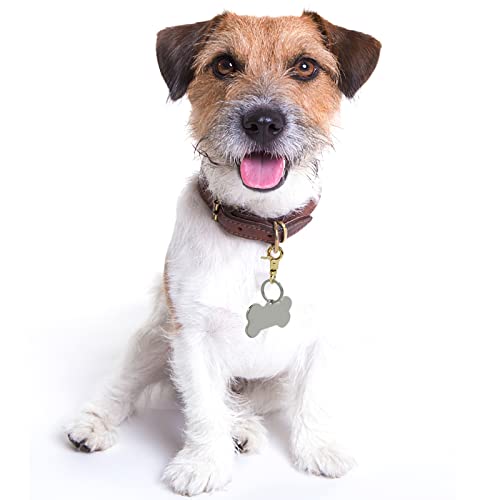 Dog Tag Clips 2 Pack Easy Change for Pet ID Tag Quick Clips Small Medium Large Dogs and Cats Collars|Gold| Dog Tag Clips 2 Pack Easy Change for Pet ID Tag Quick Clips Small Medium Large Dogs and Cats Collars|Gold|