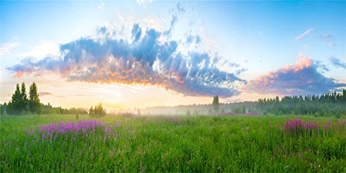 Yeele 10x5ft Vinyl Spring Summer Landscape Backdrop for Photography Rural Sunrise Field Meadow Wildflower Grass Background Banner Kids Children Photo Booth Shoot Studio Props