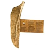 RF - DEER Damhirschgeweih | Geweihstück Größe XL | natürlicher Geweih-Kausnack für Hunde | gesunder Kauspielzeug | Kauknochen für Genuss und Zahnpflege | Soft Version